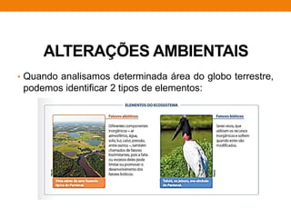 ALTERAÇÕES AMBIENTAIS
• Quando analisamos determinada área do globo terrestre,
podemos identificar 2 tipos de elementos:
 