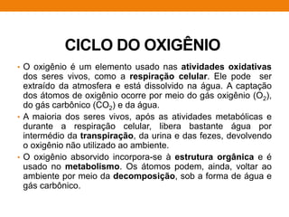 CICLO DO OXIGÊNIO
• O oxigênio é um elemento usado nas atividades oxidativas
dos seres vivos, como a respiração celular. Ele pode ser
extraído da atmosfera e está dissolvido na água. A captação
dos átomos de oxigênio ocorre por meio do gás oxigênio (O2),
do gás carbônico (CO2) e da água.
• A maioria dos seres vivos, após as atividades metabólicas e
durante a respiração celular, libera bastante água por
intermédio da transpiração, da urina e das fezes, devolvendo
o oxigênio não utilizado ao ambiente.
• O oxigênio absorvido incorpora-se à estrutura orgânica e é
usado no metabolismo. Os átomos podem, ainda, voltar ao
ambiente por meio da decomposição, sob a forma de água e
gás carbônico.
 