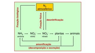 N2
atmosférico
nitrito
NO2
-
nitrato
NO3
- animais
amonificação
(decomposição e excreção)
desnitrificação
amônia
NH3
Fixação
biológica
Fixação
física
plantas
 