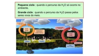 Pequeno ciclo : quando o percurso da H2O só ocorre no
ambiente.
Grande ciclo : quando o percurso da H2O passa pelos
seres vivos do meio.
 
