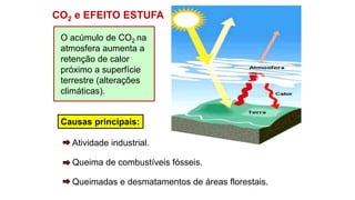 CO2 e EFEITO ESTUFA
Causas principais:
Queima de combustíveis fósseis.
Atividade industrial.
Queimadas e desmatamentos de áreas florestais.
O acúmulo de CO2 na
atmosfera aumenta a
retenção de calor
próximo a superfície
terrestre (alterações
climáticas).
 