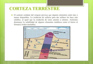 CORTEZA TERRESTRE
 El carácter oxidante del oxígeno provoca que algunos elementos estén más o
menos disponibles. La oxidación de sulfuros para dar sulfatos los hace más
solubles, al igual que la oxidación de iones amonio a nitratos. Asimismo
disminuye la solubilidad de algunos elementos metálicos como el hierro al
formarse óxidos insolubles.
 