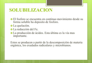 SOLUBILIZACION
 El fosforo se encuentra en continuo movimiento desde su
forma soluble ha deposito de fosforo.
 La quelación.
 La reducción del Fe.
 La producción de ácidos. Esta última es la vía mas
importante.
Estos se producen a partir de la descomposición de materia
orgánica, los exudados radiculares y microbianos.
 