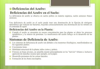  Deficiencias del Azufre:
Deficiencias del Azufre en el Suelo:
La deficiencia de azufre se observa en suelos pobres en materia orgánica, suelos arenosos franco
arenosos.
Una deficiencia de azufre en el suelo puede traer una disminución de la fijación de nitrógeno
atmosférico que realizan las bacterias, trayendo consecuentemente una disminución de los nitratos en
el contenido de aquél.
Deficiencias del Azufre en la Planta:
 Cuando el azufre se encuentra en escasa concentración para las plantas se altera los procesos
metabólicos y la síntesis de proteínas. La insuficiencia del azufre influye en le desarrollo de las
plantas.
Síntomas de Deficiencia de Azufre:
 Los síntomas de deficiencia de azufre son debidos a los trastornos fisiológicos, manifestándose en
los siguientes puntos:
 Crecimiento lento.
 Debilidad estructural de la planta, tallos cortos y pobres.
 Clorosis en hojas jóvenes, un amarilla miento principalmente en los "nervios" foliares e inclusive
aparición de manchas oscuras (por ejemplo, en la papa).
 Desarrollo prematuro de las yemas laterales.
 Formación de los frutos incompleta.
 