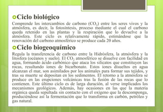 Ciclo biológico
Comprende los intercambios de carbono (CO2) entre los seres vivos y la
atmósfera, es decir, la fotosíntesis, proceso mediante el cual el carbono
queda retenido en las plantas y la respiración que lo devuelve a la
atmósfera. Este ciclo es relativamente rápido, estimándose que la
renovación del carbono atmosférico se produce cada 20 años.
Ciclo biogeoquímico
Regula la transferencia de carbono entre la Hidrósfera, la atmósfera y la
litosfera (océanos y suelo). El CO2 atmosférico se disuelve con facilidad en
agua, formando ácido carbónico que ataca los silicatos que constituyen las
rocas, resultando iones de bicarbonato. Estos iones disueltos en agua
alcanzan el mar, son asimilados por los animales para formar sus tejidos, y
tras su muerte se depositan en los sedimentos. El retorno a la atmósfera se
produce en las erupciones volcánicas tras la fusión de las rocas que lo
contienen. Este último ciclo es de larga duración, al verse implicados los
mecanismos geológicos. Además, hay ocasiones en las que la materia
orgánica queda sepultada sin contacto con el oxígeno que la descomponga,
produciéndose así la fermentación que lo transforma en carbón, petróleo y
gas natural.
 