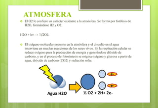 ATMOSFERA
 El O2 le confiere un carácter oxidante a la atmósfera. Se formó por fotólisis de
H2O, formándose H2 y O2:
H2O + hν → 1/2O2.
 El oxígeno molecular presente en la atmósfera y el disuelto en el agua
interviene en muchas reacciones de los seres vivos. En la respiración celular se
reduce oxígeno para la producción de energía y generándose dióxido de
carbono, y en el proceso de fotosíntesis se origina oxígeno y glucosa a partir de
agua, dióxido de carbono (CO2) y radiación solar.
 
