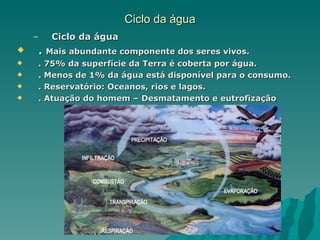 Ciclo da água
    –   Ciclo da água
   . Mais abundante componente dos seres vivos.
   . 75% da superfície da Terra é coberta por água.
   . Menos de 1% da água está disponível para o consumo.
   . Reservatório: Oceanos, rios e lagos.
   . Atuação do homem – Desmatamento e eutrofização
 