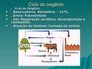 Ciclo do oxigênio
    –   Ciclo do Oxigênio
   . Reservatório: Atmosfera – 21%.
   . Entra: Fotossíntese
   . Sai: Respiração aeróbica, decomposição e
    combustão.
   . Atuação do homem: Camada de ozônio
 
