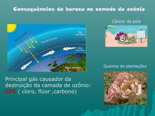 Principal gás causador da
destruição da camada de ozônio:
CFC ( cloro, flúor ,carbono)
Câncer de pele
Queima de plantações
Consequências do buraco na camada de ozônio
 