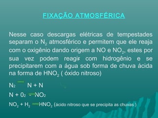 FIXAÇÃO ATMOSFÉRICA
Nesse caso descargas elétricas de tempestades
separam o N2 atmosférico e permitem que ele reaja
com o oxigênio dando origem a NO e NO2, estes por
sua vez podem reagir com hidrogênio e se
precipitarem com a água sob forma de chuva ácida
na forma de HNO2 ( óxido nitroso)
N2 N + N
N + 02 - NO2
NO2 + H2 HNO2 (ácido nitroso que se precipita as chuvas )
•
 