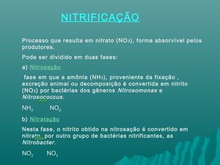 NITRIFICAÇÃO
Processo que resulta em nitrato (NO3), forma absorvível pelos
produtores.
Pode ser dividido em duas fases:
a) Nitrosação
fase em que a amônia (NH3), proveniente da fixação ,
excreção animal ou decomposição é convertida em nitrito
(NO2) por bactérias dos gêneros Nitrosomonas e
Nitrosococcus.
NH3 NO2
b) Nitratação
Nesta fase, o nitrito obtido na nitrosação é convertido em
nitrato, por outro grupo de bactérias nitrificantes, as
Nitrobacter.
NO2 NO3
 