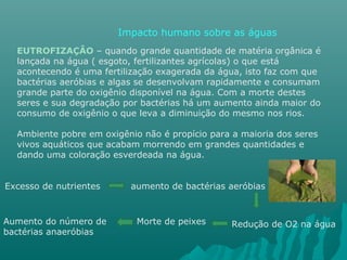 Impacto humano sobre as águas
EUTROFIZAÇÂO – quando grande quantidade de matéria orgânica é
lançada na água ( esgoto, fertilizantes agrícolas) o que está
acontecendo é uma fertilização exagerada da água, isto faz com que
bactérias aeróbias e algas se desenvolvam rapidamente e consumam
grande parte do oxigênio disponível na água. Com a morte destes
seres e sua degradação por bactérias há um aumento ainda maior do
consumo de oxigênio o que leva a diminuição do mesmo nos rios.
Ambiente pobre em oxigênio não é propício para a maioria dos seres
vivos aquáticos que acabam morrendo em grandes quantidades e
dando uma coloração esverdeada na água.
Excesso de nutrientes aumento de bactérias aeróbias
Redução de O2 na águaMorte de peixesAumento do número de
bactérias anaeróbias
 