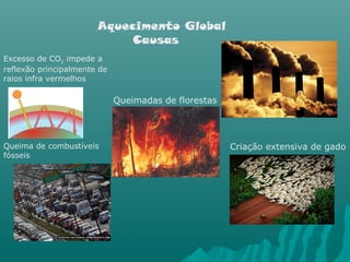 Aquecimento Global
Causas
Criação extensiva de gadoQueima de combustíveis
fósseis
Queimadas de florestas
Excesso de CO2 impede a
reflexão principalmente de
raios infra vermelhos
 