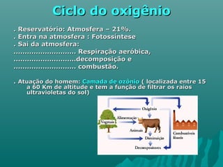 Ciclo do oxigênioCiclo do oxigênio
. Reservatório: Atmosfera – 21%.. Reservatório: Atmosfera – 21%.
. Entra na atmosfera : Fotossíntese. Entra na atmosfera : Fotossíntese
. Sai da atmosfera:. Sai da atmosfera:
............................ Respiração aeróbica,............................ Respiração aeróbica,
............................decomposição e............................decomposição e
............................ combustão............................. combustão.
.. Atuação do homem:Atuação do homem: Camada de ozônioCamada de ozônio ( localizada entre 15( localizada entre 15
a 60 Km de altitude e tem a função de filtrar os raiosa 60 Km de altitude e tem a função de filtrar os raios
ultravioletas do sol)ultravioletas do sol)
 