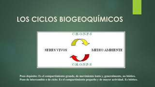 LOS CICLOS BIOGEOQUÍMICOS
Pozo depósito: Es el compartimiento grande, de movimiento lento y, generalmente, no biótico.
Pozo de intercambio o de ciclo: Es el compartimiento pequeño y de mayor actividad. Es biótico.
 