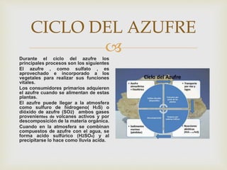 
CICLO DEL AZUFRE
Durante el ciclo del azufre los
principales procesos son los siguientes
El azufre , como sulfato , es
aprovechado e incorporado a los
vegetales para realizar sus funciones
vitales.
Los consumidores primarios adquieren
el azufre cuando se alimentan de estas
plantas.
El azufre puede llegar a la atmosfera
como sulfuro de hidrogeno( H2S) o
dióxido de azufre (SO2) ambos gases
provenientes de volcanes activos y por
descomposición de la materia orgánica.
Cuando en la atmosfera se combinan
compuestos de azufre con el agua, se
forma acido sulfúrico (H2SO4) y al
precipitarse lo hace como lluvia acida.
 