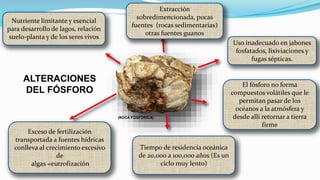 ALTERACIONES
DEL FÓSFORO
Exceso de fertilización
transportada a fuentes hídricas
conlleva al crecimiento excesivo
de
algas =eutrofización
(ROCA FOSFÓRICA)
Tiempo de residencia oceánica
de 20,000 a 100,000 años (Es un
ciclo muy lento)
Nutriente limitante y esencial
para desarrollo de lagos, relación
suelo-planta y de los seres vivos
Extracción
sobredimencionada, pocas
fuentes (rocas sedimentarias)
otras fuentes guanos
Uso inadecuado en jabones
fosfatados, lixiviaciones y
fugas sépticas.
El fósforo no forma
compuestos volátiles que le
permitan pasar de los
océanos a la atmósfera y
desde allí retornar a tierra
firme
 