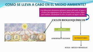 COMO SE LLEVA A CABO EN EL MEDIO AMBIENTE?
CICLOS BIOGEOQUÍMICOS
ATMOSFERA Y OCEANOS
SUELO – ROCAS Y MINERALES
Los diferentes elementos químicos pasan del suelo, el agua o
el aire a los organismos y de unos seres vivos a otros, hasta
que vuelven, cerrándose el ciclo, al suelo o al agua o al aire.
SEDIMENTARIO
GASEOSO
 