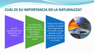 CUÁL ES SU IMPORTANCIA EN LA NATURALEZA?
son los
reguladores de la
hidrosfera y la
biosfera
los ciclos más
importantes son:
los del carbono, el
hidrológico,
nitrógeno,
oxígeno, fósforo y
azufre
Todos estos ciclos
cumplen un papel
muy importante
en el suelo, ya que
gracias a estos
procesos es que se
puede dar la vida
en el suelo
 