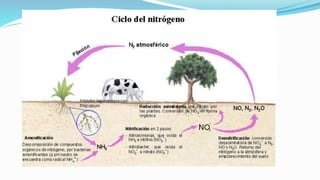 Fuente: Liliana Vela, 2011
 