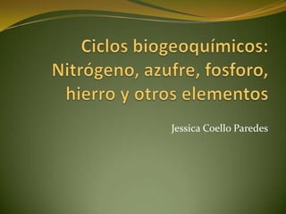 Ciclos biogeoquímicos:Nitrógeno, azufre, fosforo, hierro y otros elementos Jessica Coello Paredes 