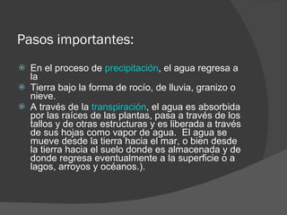 Pasos importantes:  En el proceso de  precipitación , el agua regresa a la  Tierra bajo la forma de rocío, de lluvia, granizo o nieve. A través de la  transpiración , el agua es absorbida por las raíces de las plantas, pasa a través de los tallos y de otras estructuras y es liberada a través de sus hojas como vapor de agua.  El agua se mueve desde la tierra hacia el mar, o bien desde la tierra hacia el suelo donde es almacenada y de donde regresa eventualmente a la superficie o a lagos, arroyos y océanos.). 