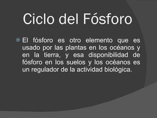 Ciclo del Fósforo El fósforo es otro elemento que es usado por las plantas en los océanos y en la tierra, y esa disponibilidad de fósforo en los suelos y los océanos es un regulador de la actividad biológica.  