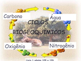 Água
NitrogênioOxigênio
Carbono
CICLOS
BIOGEOQUÍMICOS
 