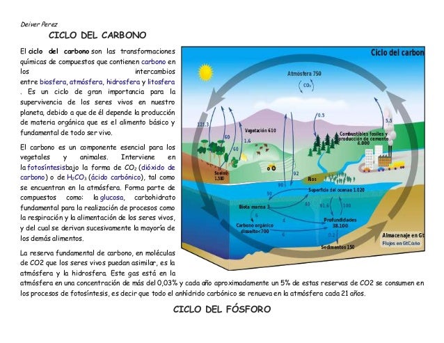 Ciclos biogeoquímicos