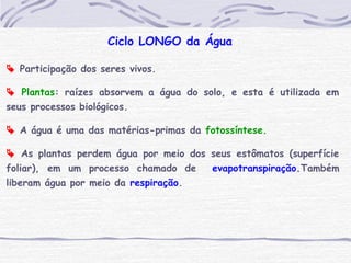 Ciclo LONGO da Água
 Participação dos seres vivos.
 Plantas: raízes absorvem a água do solo, e esta é utilizada em
seus processos biológicos.
 A água é uma das matérias-primas da fotossíntese.
 As plantas perdem água por meio dos seus estômatos (superfície
foliar), em um processo chamado de evapotranspiração.Também
liberam água por meio da respiração.
 