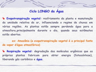  Evapotranspiração vegetal: resfriamento da planta e manutenção
da umidade relativa do ar, influenciando o regime de chuvas em
várias regiões. As plantas estão sempre perdendo água para a
atmosfera,principalmente durante o dia, quando seus estômatos
estão abertos.
ex: Amazônia (a evapotranspiração vegetal é a principal fonte
de vapor d’água atmosférico)
 Respiração vegetal: degradação das moléculas orgânicas que as
próprias plantas fabricam para obter energia (fotossíntese),
liberando gás carbônico e água.
Ciclo LONGO da Água
 