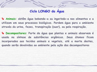 Ciclo LONGO da Água
 Animais: obtêm água bebendo-a ou ingerindo-a nos alimentos e a
utilizam em seus processos biológicos. Perdem água para o ambiente
através da urina, fezes, transpiração (suor), ou pela respiração.
 Decompositores: Parte da água que plantas e animais obsorvem é
usada na síntese de substâncias orgânicas. Seus átomos ficam
incorporados aos tecidos animais e vegetais, até a morte destes,
quando serão devolvidos ao ambiente pela ação dos decompositores
 