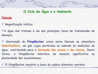O Ciclo da Água e o Ambiente
Poluição
 Magnificação trófica.
A água mal tratada é um dos principais focos de transmissão de
doenças.
 Destruição do Fitoplâncton: estes seres liberam na atmosfera
dimetilsulfeto, um gás cujas partículas se aderem às moléculas de
água, contribuindo para a formação das nuvens e das chuvas. Desta
forma, o fitoplâncton interfere de maneira significativa na
pluviosidade dos ecossistemas.
 O fitoplâncton constitui a base da cadeia alimentar marinha.
 