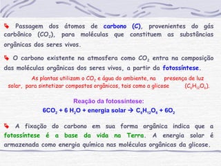  Passagem dos átomos de carbono (C), provenientes do gás
carbônico (CO2), para moléculas que constituem as substâncias
orgânicas dos seres vivos.
 O carbono existente na atmosfera como CO2 entra na composição
das moléculas orgânicas dos seres vivos, a partir da fotossíntese.
As plantas utilizam o CO2 e água do ambiente, na presença de luz
solar, para sintetizar compostos orgânicos, tais como a glicose (C6H12O6).
Reação da fotossíntese:
6CO2 + 6 H2O + energia solar  C6H12O6 + 6O2
 A fixação do carbono em sua forma orgânica indica que a
fotossíntese é a base da vida na Terra. A energia solar é
armazenada como energia química nas moléculas orgânicas da glicose.
 
