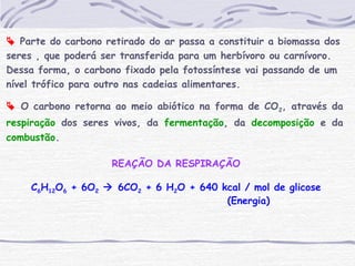  Parte do carbono retirado do ar passa a constituir a biomassa dos
seres , que poderá ser transferida para um herbívoro ou carnívoro.
Dessa forma, o carbono fixado pela fotossíntese vai passando de um
nível trófico para outro nas cadeias alimentares.
 O carbono retorna ao meio abiótico na forma de CO2, através da
respiração dos seres vivos, da fermentação, da decomposição e da
combustão.
REAÇÃO DA RESPIRAÇÃO
C6H12O6 + 6O2  6CO2 + 6 H2O + 640 kcal / mol de glicose
(Energia)
 