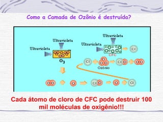 Como a Camada de Ozônio é destruída?
Cada átomo de cloro de CFC pode destruir 100
mil moléculas de oxigênio!!!
 