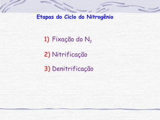 Etapas do Ciclo do Nitrogênio
1) Fixação do N2
2) Nitrificação
3) Denitrificação
 