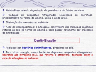  Metabolismo animal: degradação de proteínas e de ácidos nucléicos
 Produção de compostos nitrogenados (excreções ou excretas),
principalmente na forma de amônia, uréia e ácido úrico.
 Eliminação das excretas no ambiente
 Ação de decompositores: o nitrogênio constituinte das moléculas orgânicas
retorna ao solo na forma de amônia e pode passar novamente por processos
de nitrificação.
Denitrificação
 Realizado por bactérias denitrificantes, presentes no solo.
 Para obter energia, essas bactérias degradam compostos nitrogenados,
liberando gás nitrogênio (N2), que retorna à atmosfera, fechando assim o
ciclo do nitrogênio na natureza.
 