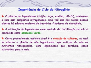 Importância do Ciclo do Nitrogênio
 O plantio de leguminosas (feijão, soja, ervilha, alfafa), enriquece
o solo com compostos nitrogenados, uma vez que nas raízes dessas
plantas há nódulos repletos de bactérias fixadoras de nitrogênio.
 A utilização de leguminosas como método de fertilização do solo é
conhecida como adubação verde.
 Outro procedimento agrícola usual é a rotação de culturas, na qual
se alterna o plantio de não leguminosas, que retiram do solo os
nutrientes nitrogenados, com leguminosas que devolvem esses
nutrientes para o meio.
 