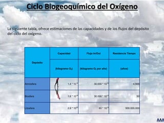 AAA
Depósito
Capacidad Flujo In/Out Residencia Tiempo
(kilogramo O2) (kilogramo O2 por año) (años)
Atmósfera 1.4 * 1018
30.000 * 1010
4,500
Biosfera 1.6 * 1016
30.000 * 1010
50
Litosfera 2.9 * 1020
60 * 1010
500.000.000
La siguiente tabla, ofrece estimaciones de las capacidades y de los flujos del depósito
del ciclo del oxígeno.
Ciclo Biogeoquímico del Oxígeno
 