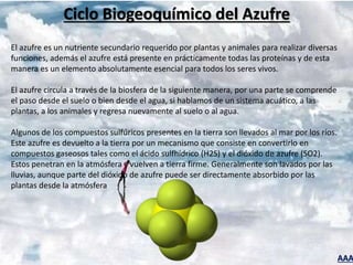 AAA
Ciclo Biogeoquímico del Azufre
El azufre es un nutriente secundario requerido por plantas y animales para realizar diversas
funciones, además el azufre está presente en prácticamente todas las proteínas y de esta
manera es un elemento absolutamente esencial para todos los seres vivos.
El azufre circula a través de la biosfera de la siguiente manera, por una parte se comprende
el paso desde el suelo o bien desde el agua, si hablamos de un sistema acuático, a las
plantas, a los animales y regresa nuevamente al suelo o al agua.
Algunos de los compuestos sulfúricos presentes en la tierra son llevados al mar por los ríos.
Este azufre es devuelto a la tierra por un mecanismo que consiste en convertirlo en
compuestos gaseosos tales como el ácido sulfhídrico (H2S) y el dióxido de azufre (SO2).
Estos penetran en la atmósfera y vuelven a tierra firme. Generalmente son lavados por las
lluvias, aunque parte del dióxido de azufre puede ser directamente absorbido por las
plantas desde la atmósfera
 