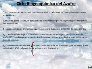 AAA
Ciclo Biogeoquímico del Azufre
Como resumen podemos decir que durante el ciclo del azufre los principales eventos son
los siguientes:
1_El azufre, como sulfato, es aprovechado e incorporado por los vegetales para realizar sus
funciones vitales.
2_ Los consumidores primarios adquieren el azufre cuando se alimentan de estas plantas.
3_ El azufre puede llegar a la atmósfera como sulfuro de hidrógeno (H2S) o dióxido de
azufre (SO2), ambos gases provenientes de volcanes activos y por la descomposición de la
materia orgánica.
4_ Cuando en la atmósfera se combinan compuestos del azufre con el agua, se forma ácido
sulfúrico (H2SO4) y al precipitarse lo hace como lluvia ácida.
 