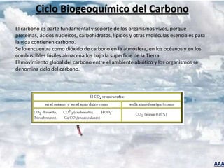 AAA
Ciclo Biogeoquímico del Carbono
El carbono es parte fundamental y soporte de los organismos vivos, porque
proteínas, ácidos nucleicos, carbohidratos, lípidos y otras moléculas esenciales para
la vida contienen carbono.
Se lo encuentra como dióxido de carbono en la atmósfera, en los océanos y en los
combustibles fósiles almacenados bajo la superficie de la Tierra.
El movimiento global del carbono entre el ambiente abiótico y los organismos se
denomina ciclo del carbono.
 