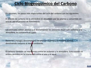 AAA
Ciclo Biogeoquímico del Carbono
En resumen, los pasos más importantes del ciclo del carbono son los siguientes:
El dióxido de carbono de la atmósfera es absorbido por las plantas y convertido en
azúcar, por el proceso de fotosíntesis.
Los animales comen plantas y al descomponer los azúcares dejan salir carbono a la
atmósfera, los océanos o el suelo.
Bacterias y hongos descomponen las plantas muertas y la materia animal,
devolviendo carbono al medio ambiente.
El carbono también se intercambia entre los océanos y la atmósfera. Esto sucede en
ambos sentidos en la interacción entre el aire y el agua.
 