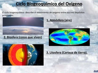 AAA
El ciclo biogeoquímico describe el movimiento de oxígeno entre sus tres depósitos
principales:
Ciclo Biogeoquímico del Oxígeno
1. Atmósfera (aire)
2. Biosfera (cosas que viven)
3. Litosfera (Corteza de tierra).
 
