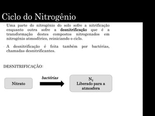Ciclo do Nitrogênio
• Uma parte do nitrogênio do solo sofre a nitrificação
enquanto outra sofre a desnitrificação que é a
transformação destes compostos nitrogenados em
nitrogênio atmosférico, reiniciando o ciclo.
• A desnitrificação é feita também por bactérias,
chamadas desnitrificantes.
DESNITRIFICAÇÃO:
Nitrato
bactérias N2
Liberado para a
atmosfera
 