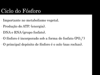 Ciclo do Fósforo
• Importante no metabolismo vegetal.
• Produção do ATP. (energia).
• DNA e RNA (grupo fosfato).
• O fósforo é incorporado sob a forma de fosfato (PO4
3-)
• O principal depósito de fósforo é o solo (nas rochas).
 