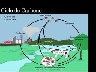 Ciclo do Carbono
 