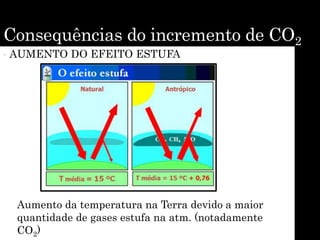 Consequências do incremento de CO2
• AUMENTO DO EFEITO ESTUFA
Aumento da temperatura na Terra devido a maior
quantidade de gases estufa na atm. (notadamente
CO2)
 