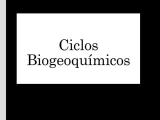 Ciclos
Biogeoquímicos
 